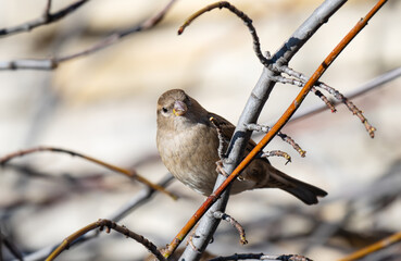 A beautiful close-up photo