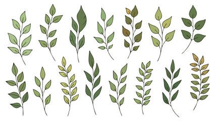 Elegant Green Leaf Sprig Collection Botanical Illustration for Nature Inspired Designs
