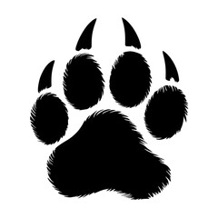 Detailed Realistic Bear Paw Print in Wilderness Setting