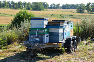 a close up of Beehives on a Trailer in a Rural Landscape