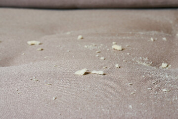 Close-up of crumbs on the sofa. The sofa is covered in crumbs after eating