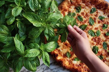 Foods styling magazine content concept. Fresh basil leaves next to a delicious pizza, highlighting culinary ingredients and preparation.