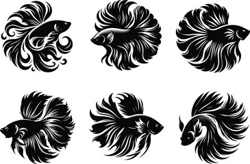 Colorful Siamese fighting fish set showcasing detailed betta artwork with graceful fin movement. 