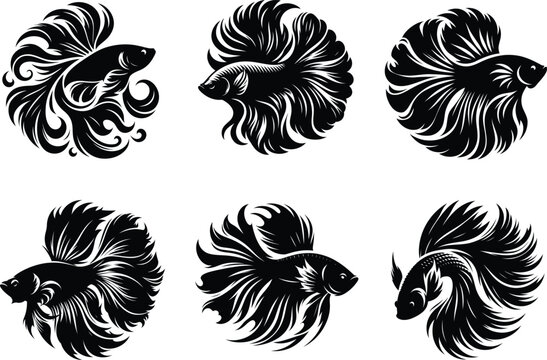 Colorful Siamese fighting fish set showcasing detailed betta artwork with graceful fin movement. 