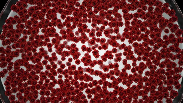 Floating red pathogen cells on gray background, close up render