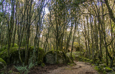 Site préhistorique de Cucuruzzu à Levie, Corse, France