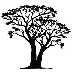 Obraz premium tree silhouette white background