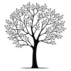 Obraz premium tree silhouette white background