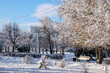In a  snowy city park
