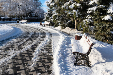 In  a  snowy city park