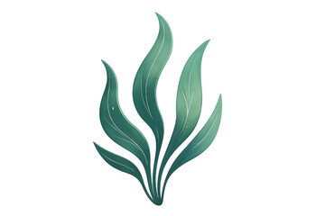Fototapeta premium Green aquatic plant illustration floating, underwater seaweed or kelp, marine life element with transparent background