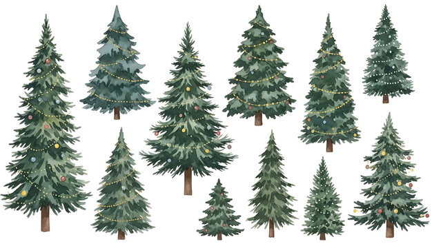 ollection of fir trees and holiday decorations illustration.