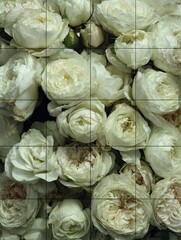 Obraz premium Bouquet Geometry Grid white roses arranged in strict geometric grid