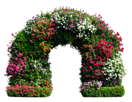 Athlete Running Side View Isolated on Transparent Background 