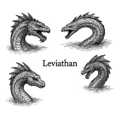 Leviathan sea serpent legendary monster vintage black and white engraving © SenorPinky