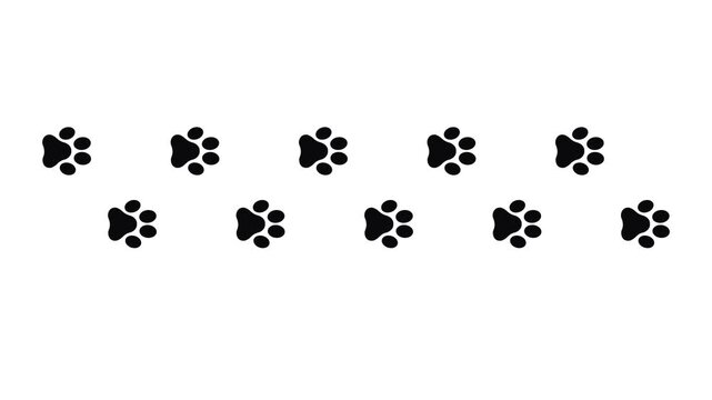 Cat paw print appears animation isolated on white background