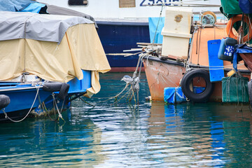 Heron Navigating Ropes Between Fishing Boats