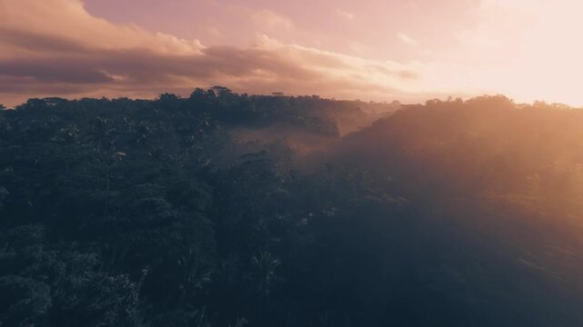 Top view of jungles in tropical area at daytime on sunlight. Wide angle lens shot. Camera is moving forward