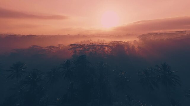 Aerial shot of rice terraces and jungles in Thailand on sunrise at daytime on sunlight. Wide angle lens shot. Camera is moving forward