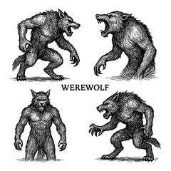 Werewolf creature in multiple aggressive vintage engraved poses, Transparent Background