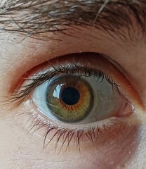 Fototapeta premium close up of female eye