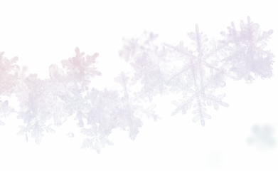 Frostwork. Decorative ice crystals on transparent background
