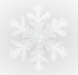 snowflake winter season Png
