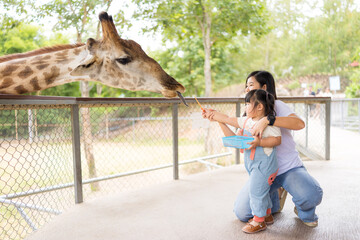 A cute Asian mother and her little daughter are feeding a giraffe in a zoo,Children's Day,mother and girl at public zoo  © banjongseal324