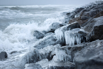 Ice cliffs on the seashore