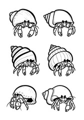 Six cute hermit crabs, isolated on white. Black and white outline drawing of various seashells. Ideal for children's coloring books or marine wildlife illustrations