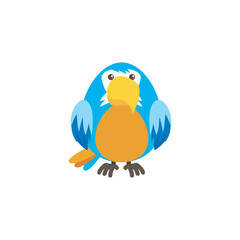 Beautiful and cute multi-coloured birds. Spring birds with beautiful beaks and red cheeks. Vector birds for postcards