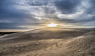 Desert Dunes at Sunset: Quiet Path Through Sand, Sparse Bushes, Dramatic Sky, Raabjerg Mile, Denmark