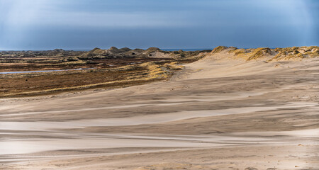 Desert Dunes at Sunset: Quiet Path Through Sand, Sparse Bushes, Dramatic Sky, Raabjerg Mile, Denmark