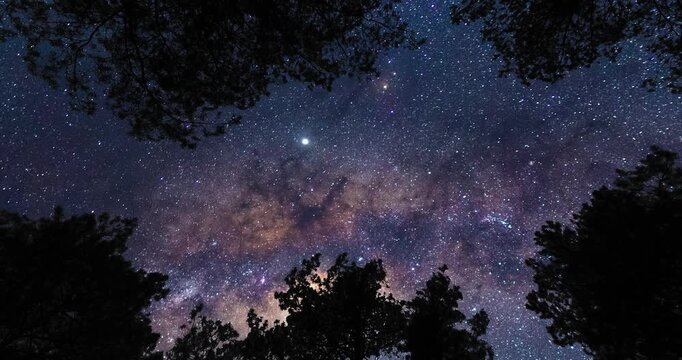 Upward gaze at the sky on Milky Way from forest. Timelapse shot, Earth rotation concept. Wide angle lens shot