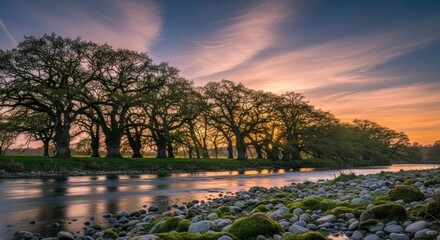 A serene river landscape with a group of large trees silhouetted against a vibrant sunset sky.
