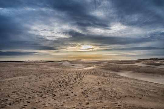 Desert Dunes at Sunset: Quiet Path Through Sand, Sparse Bushes, Dramatic Sky, Raabjerg Mile, Denmark