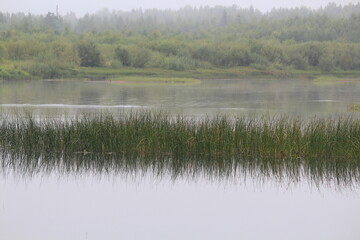 morning fog on the river in late summer