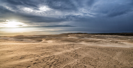 Desert Dunes at Sunset: Quiet Path Through Sand, Sparse Bushes, Dramatic Sky, Raabjerg Mile, Denmark