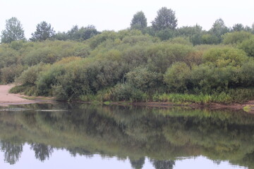reflection of trees in water