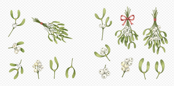Watercolor illustrations of festive mistletoe sprigs and decorative bunches with white berries, some tied with red ribbons, perfect for holiday designs.