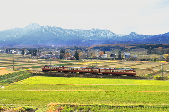 雄大な北アルプスを背景に疾走するえちごトキめき鉄道455・413系電車_2025/11/23撮影