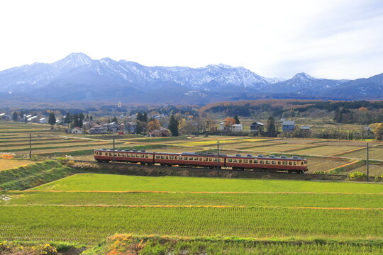 雄大な北アルプスを背景に疾走するえちごトキめき鉄道455・413系電車_2025/11/23撮影