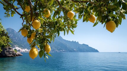 Lush lemon-laden branches frame a coastal view of mountains, a town, and the azure sea
