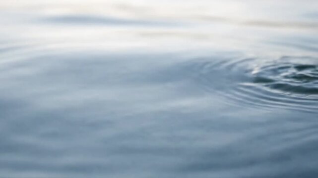 Organic ebb and flow of a tranquil aquatic environment, highlighting the interplay of soft, diffused light and shadow on the liquid plane. Explore the subtle shifts in light and form, creating a?