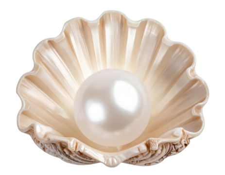 Fantasy Glow Pearl Nestled in Carved Shell Base, Top-Down View, fully isolated on a transparent background.