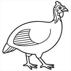vector illustration of guineafwol
