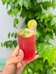 Refreshing watermelon juice with lemon and mint a cool summer drink held in hand against a leafy background