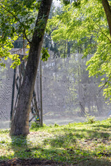 Fototapeta premium A place in the forest for playing paintball