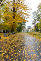 A rainy autumn day in the city park