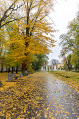 A rainy autumn day in the city park